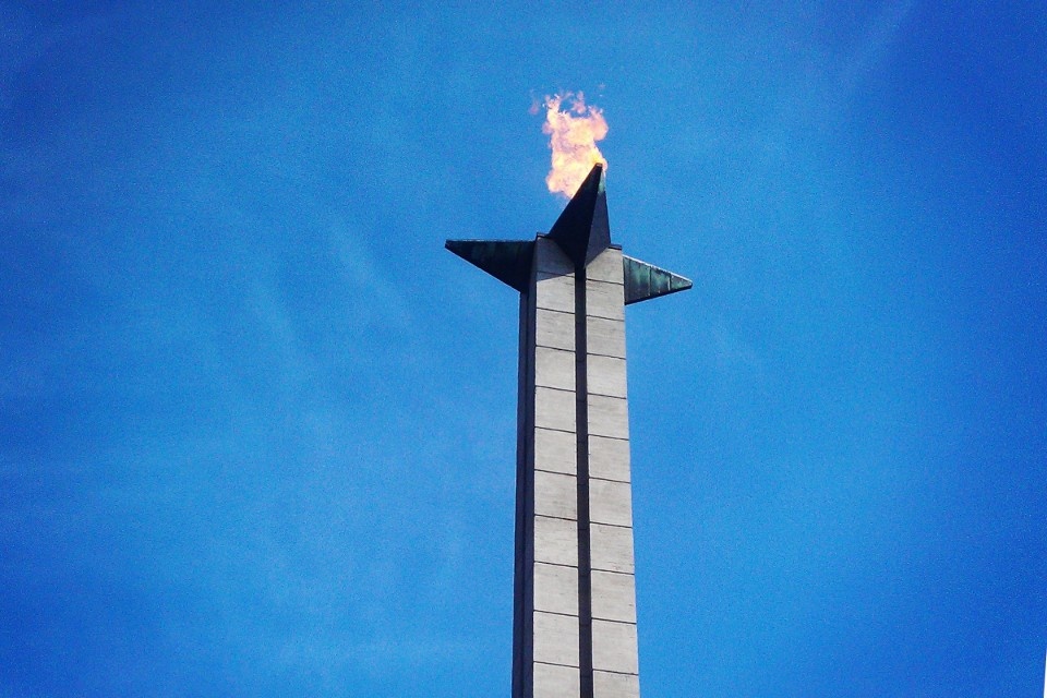    Вечная слава сражавшимся за Родину. Алёна АНИСИМОВА