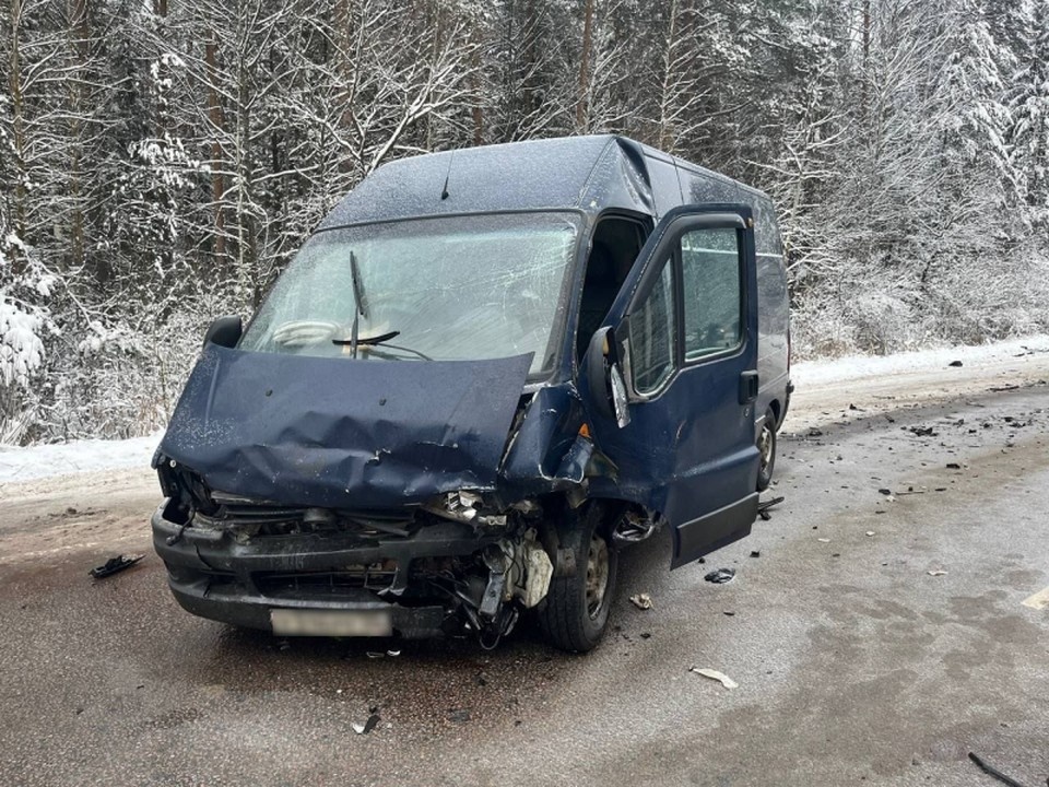    Фото: УМВД России по Владимирской области