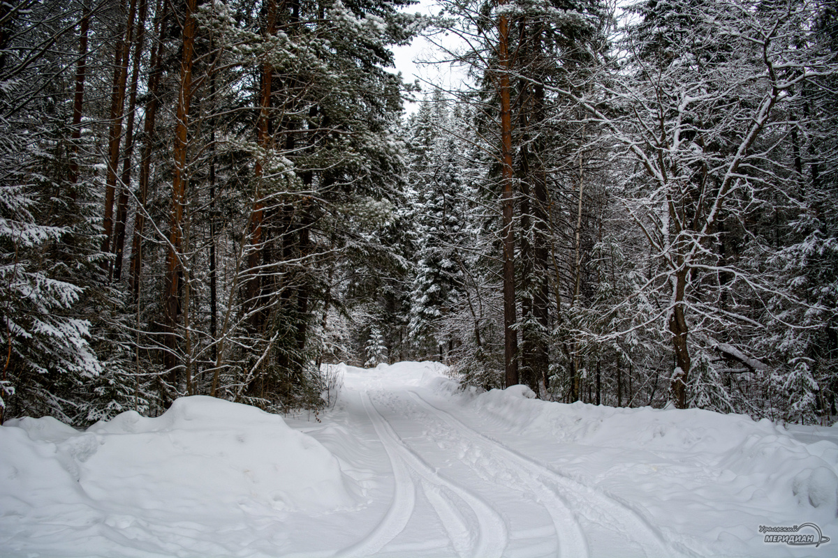   Фото: Галина Ниценкова © ИА «Уральский меридиан»