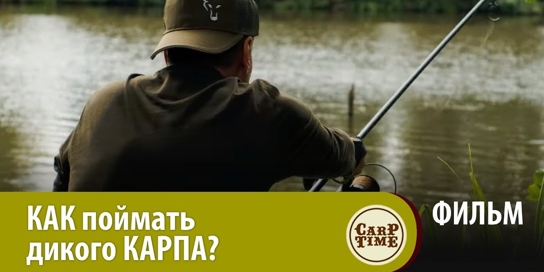 ⭐ КАК ловить КАРПА на НЕЗНАКОМОМ водоеме?
