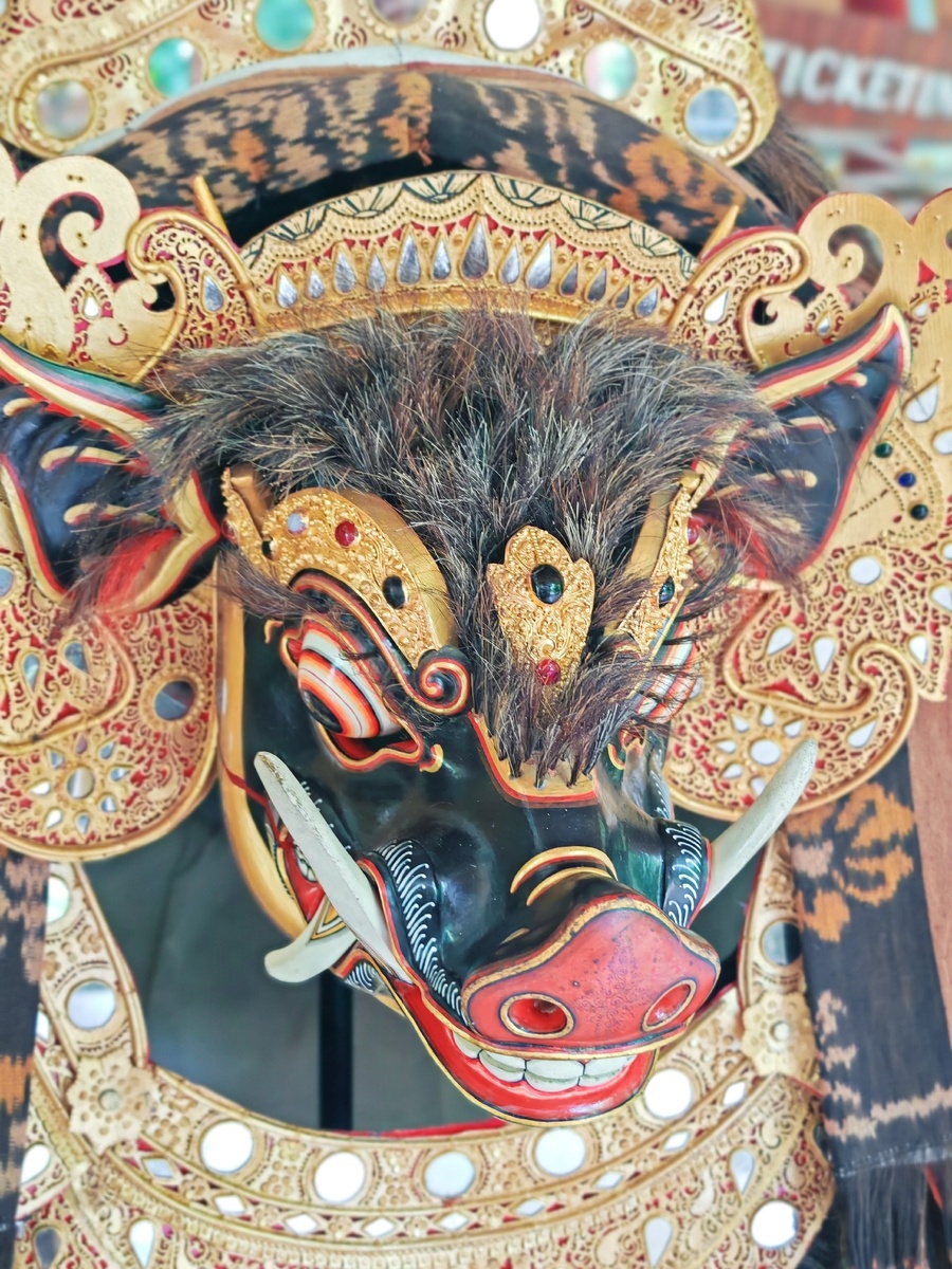 Все фото автора статьи 