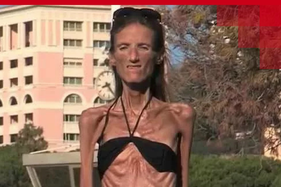 Фото из свободных источников.