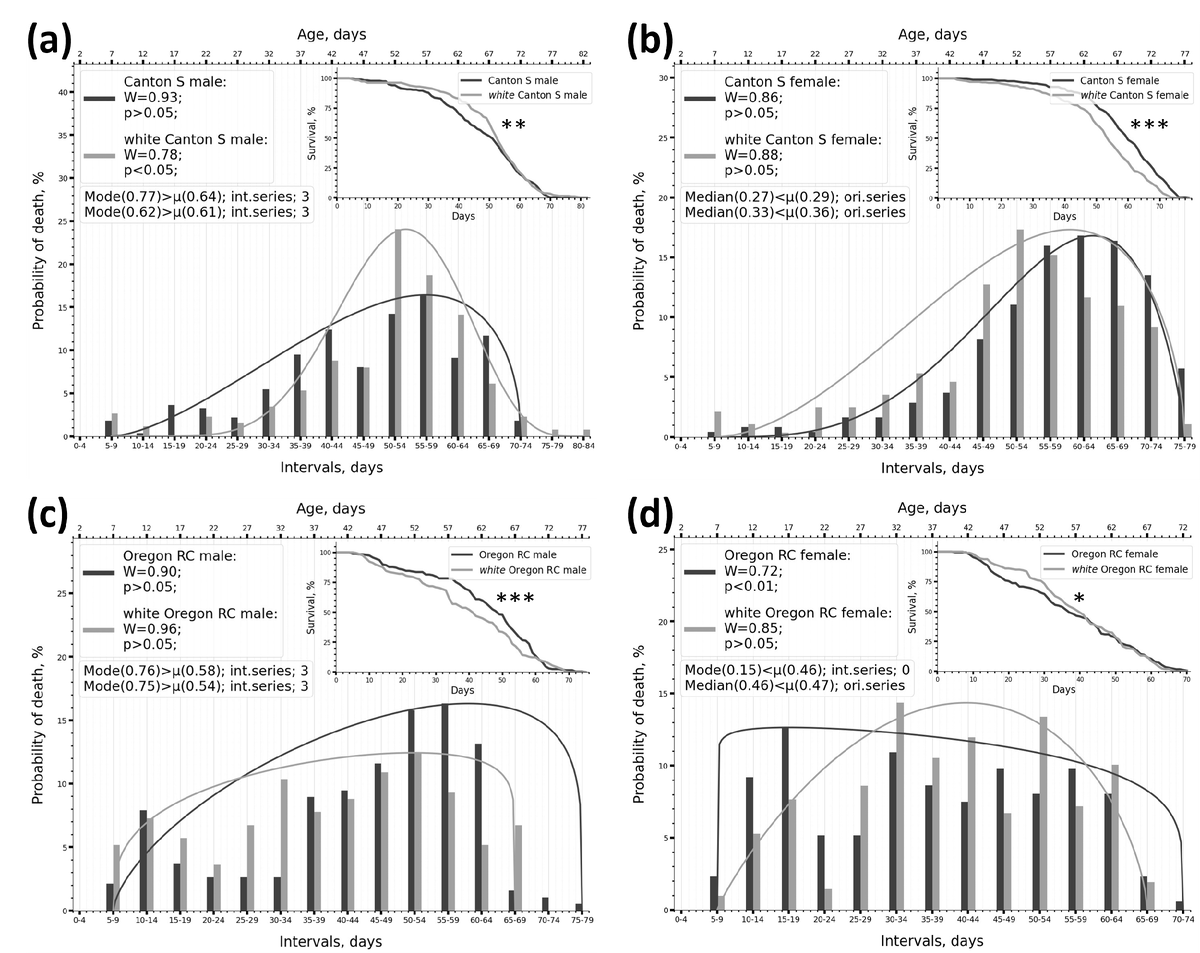 Иллюстрация из статьи. Изменение формы распределения при умеренном увеличении продолжительности жизни. Источник: Авторы исследования