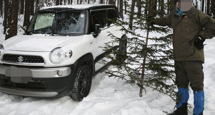    Фото пресс-службы правительства Иркутской области