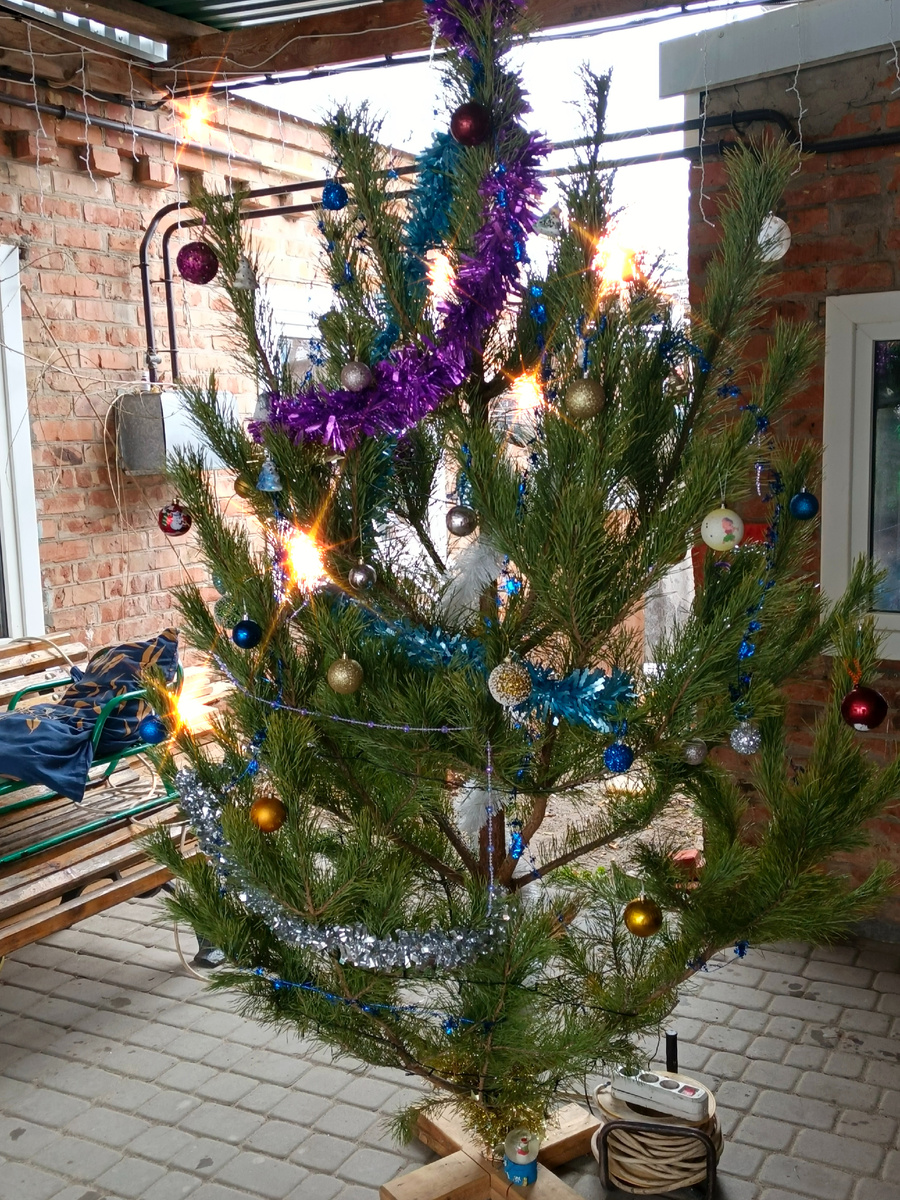 Примерно такая , но эту мы купили 😊.