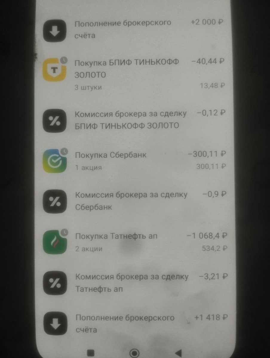 Фото автора. 