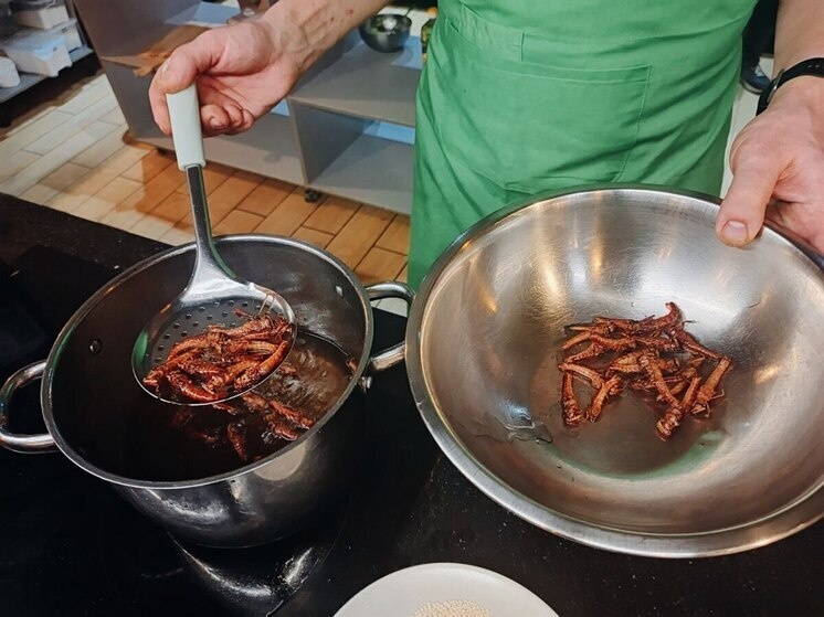     После небольшой теоретической вводной стартовало кулинарное шоу. Фото: МК в Питере / Ольга Калюжная