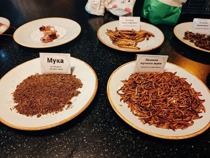     Фото: МК в Питере / Ольга Калюжная