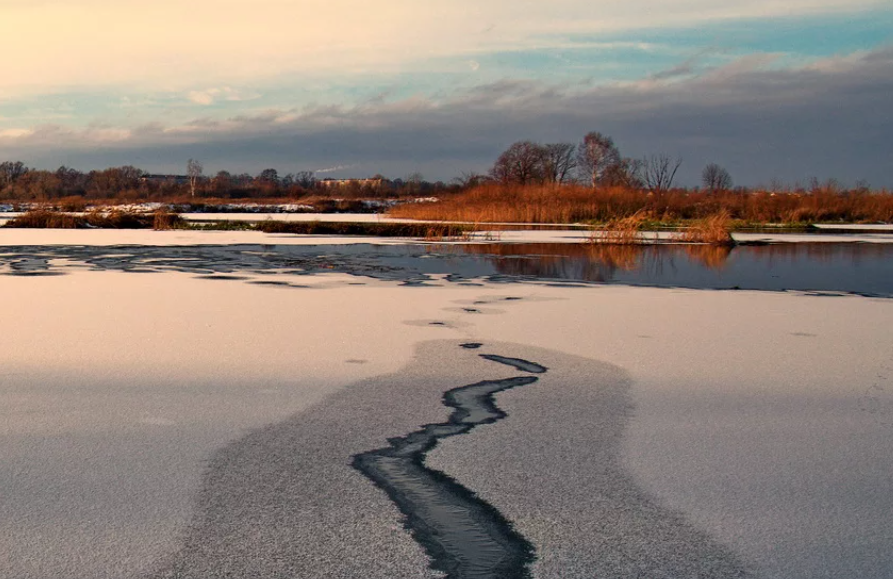 Фото: открытые источники