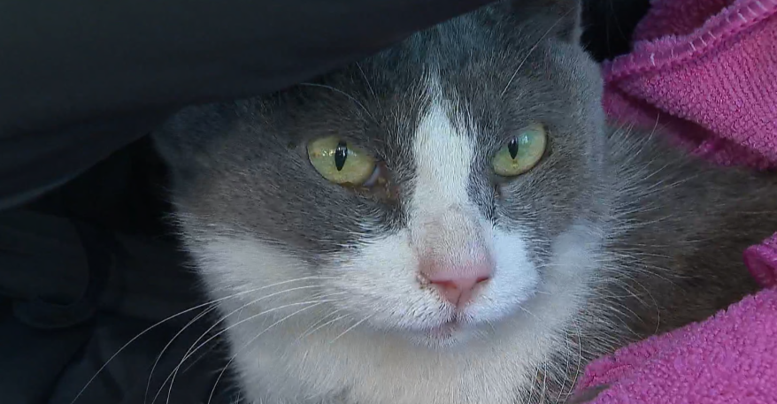    Источник фото: