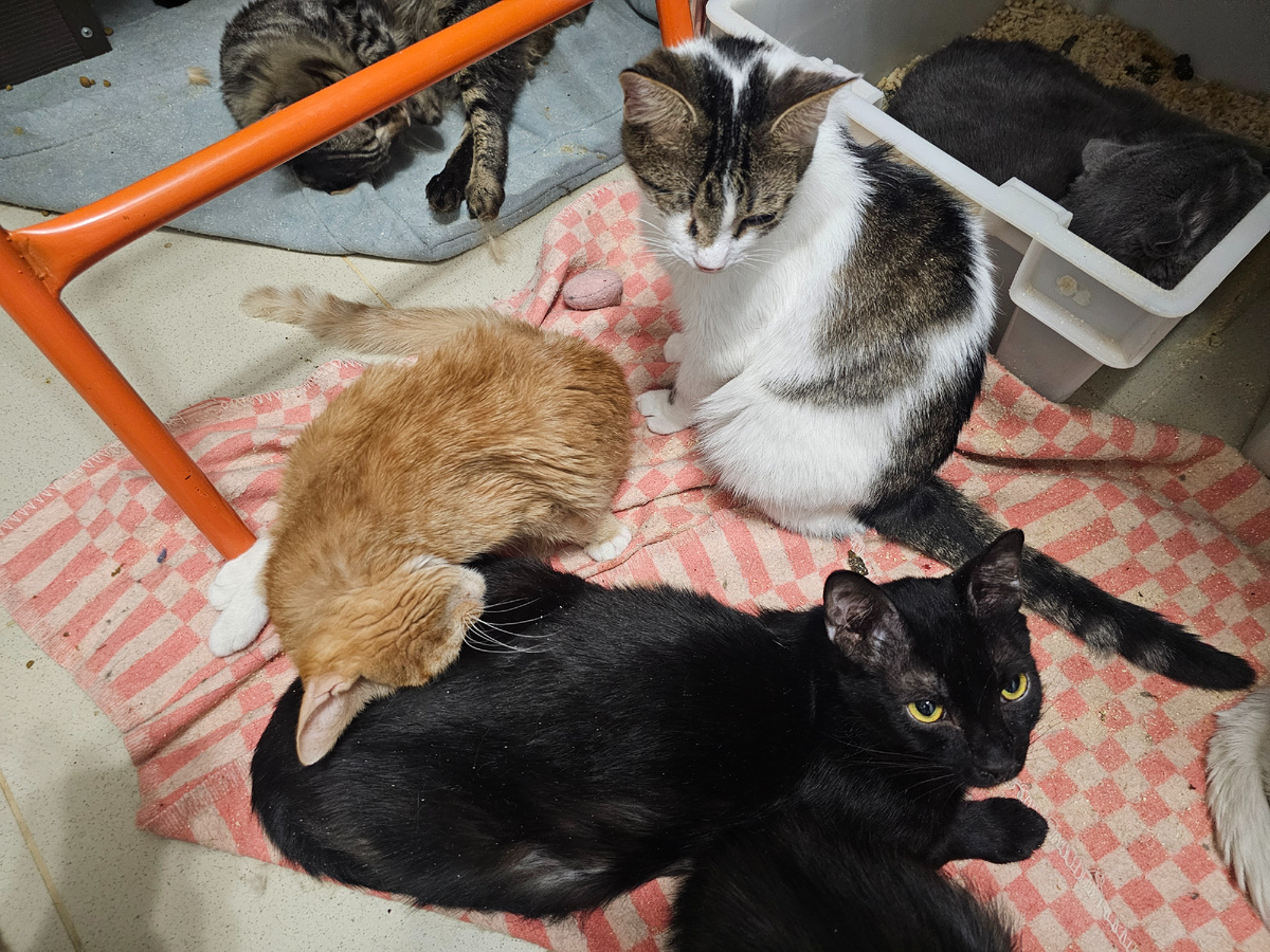 Фото автора. Ребята, спинальники, без глаз и болеющие.