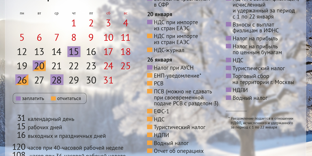 🎄✨ Скачайте календарь на ЯНВАРЬ 2026