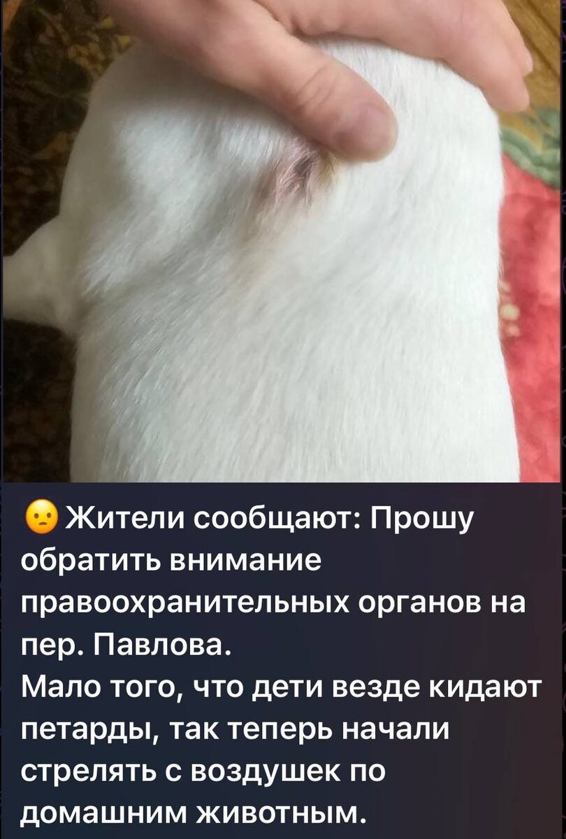    Фото: Полиция Сочи