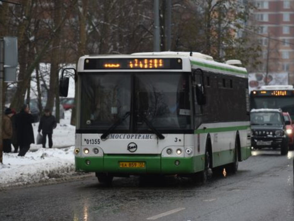    Фото: медиасток.рф