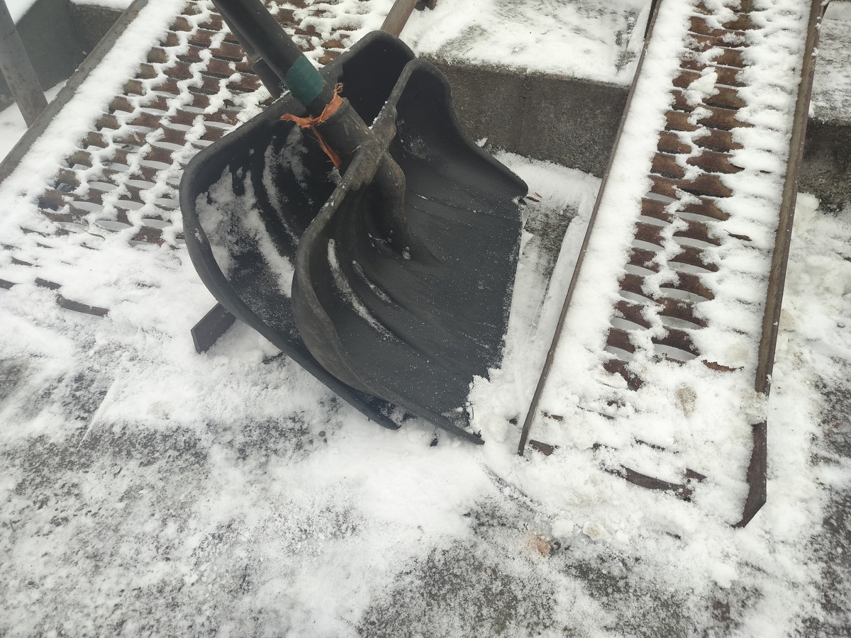    фото: © Столица на Онего