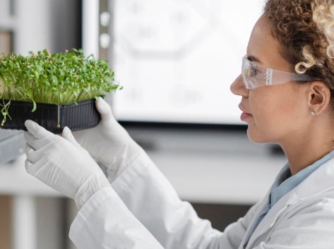    фото: фрипик