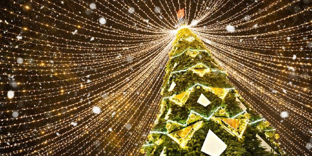 Юная россиянка подожгла новогоднюю елку по указанию мошенников