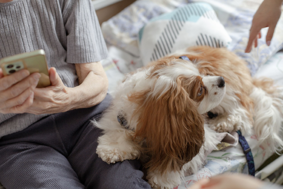 Фото: Мария Куренкова, фотоволонтёр фонда «Вера»