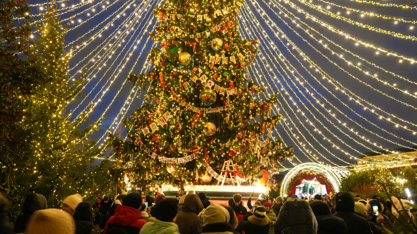    Фото: ИЗВЕСТИЯ/Дмитрий Коротаев; 5-tv.ru