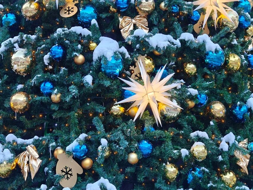    Фото: Юрий Серебренников/BFM Кубань