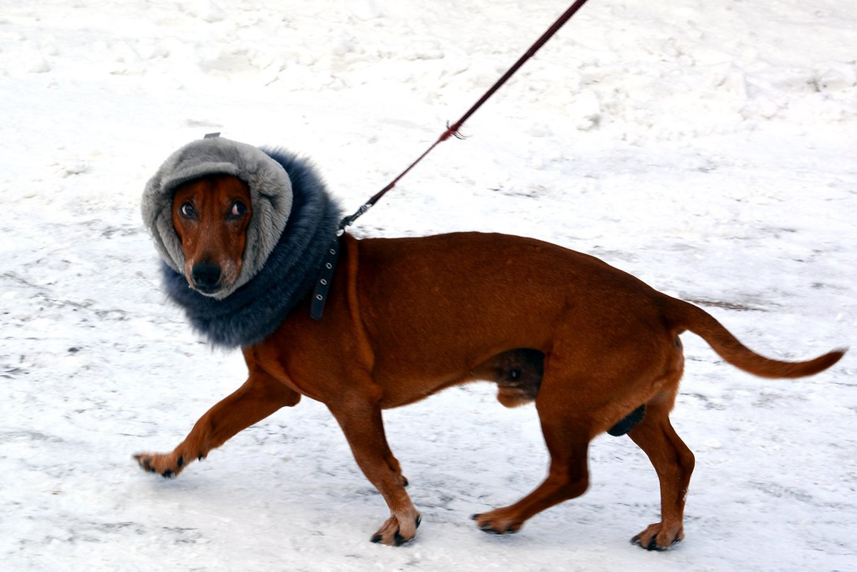 Фото: Борис Ярков, «Областная газета»