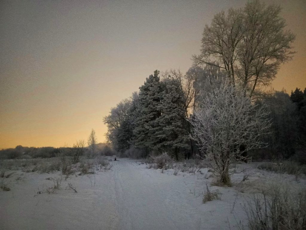    Алена Федорова