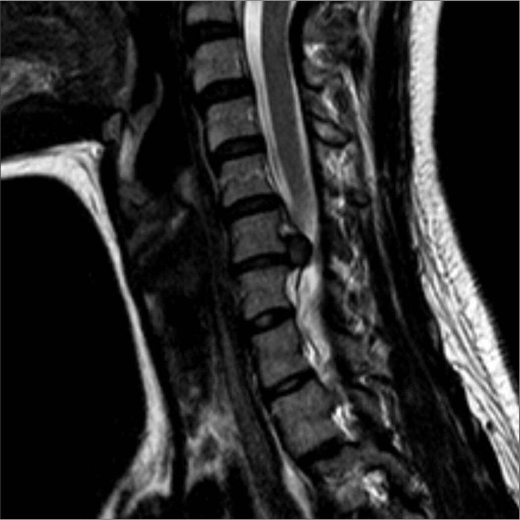 Фото Яндекс Картинки