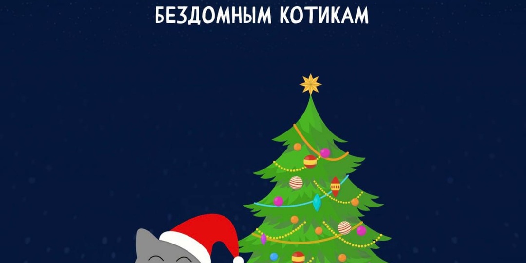 Кот Мороз — это новогодняя акция Фонда защиты городских животных