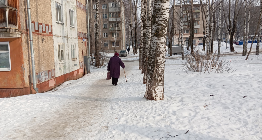    Фото progorod43.ru