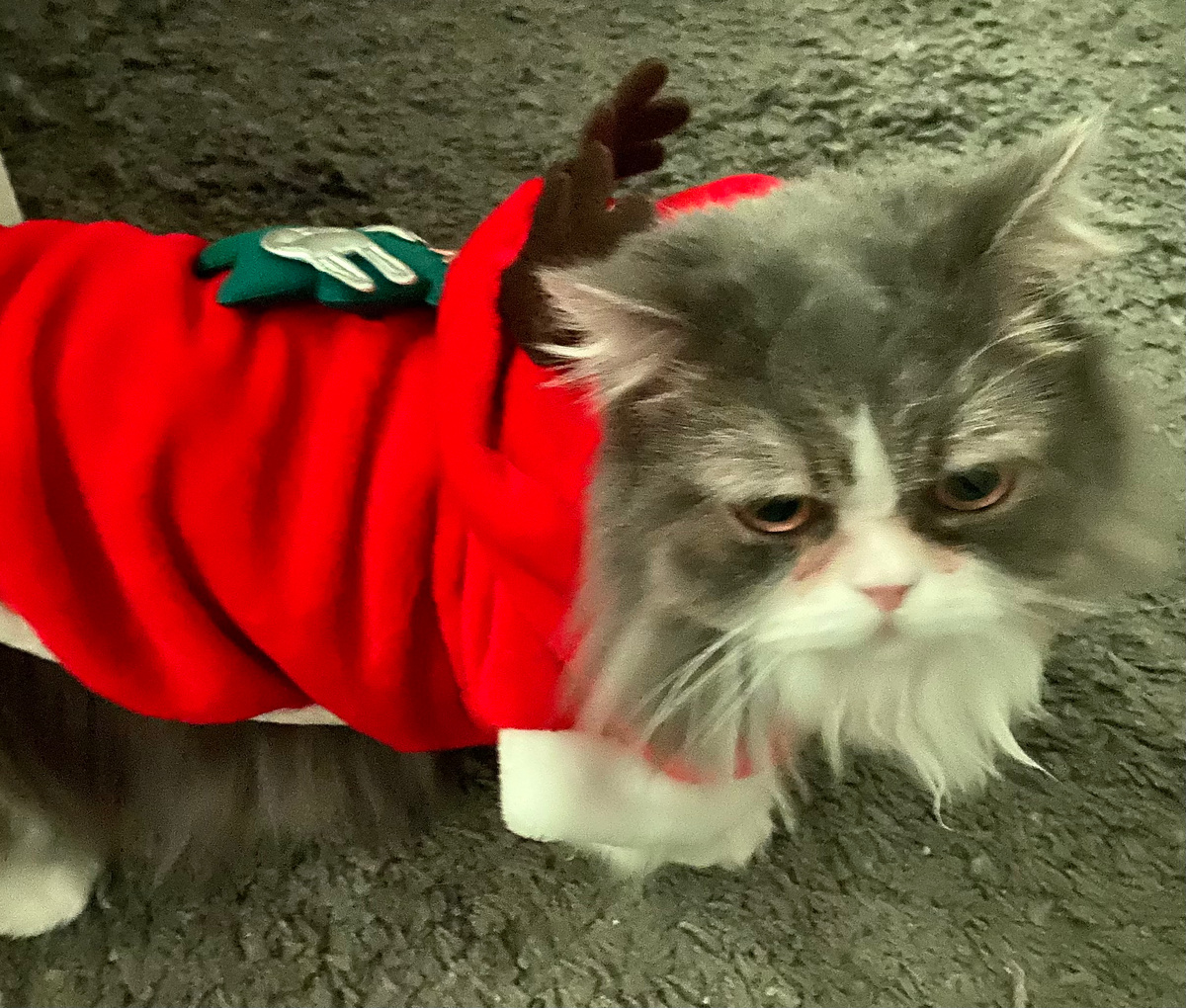 С праздником всех!!! ❤️💋