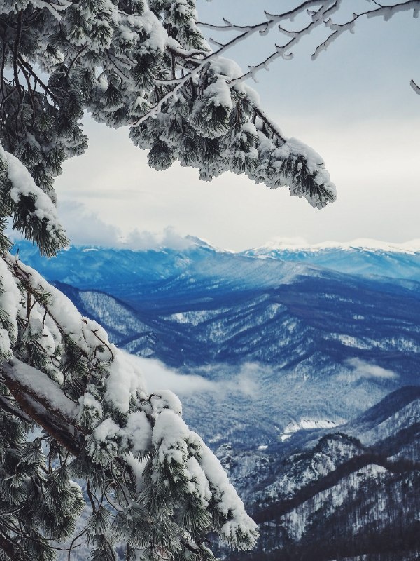 В горах Адыгеи. Фото - Катерина Мамонтова 