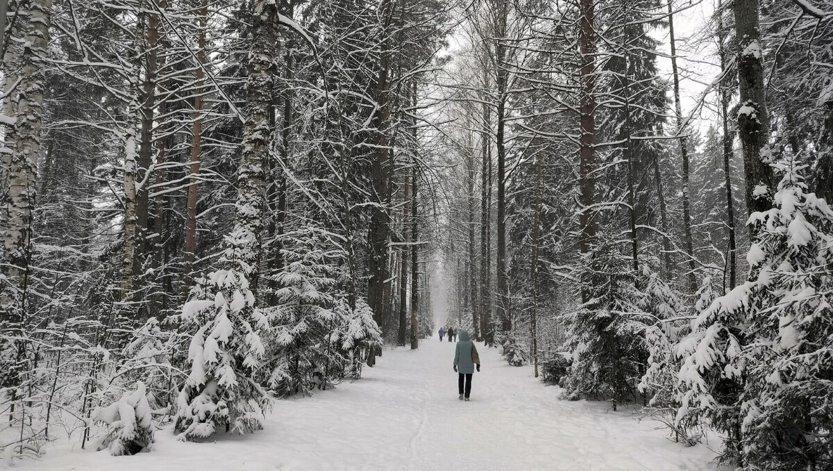   Мария Наумова / udm-info.ru
