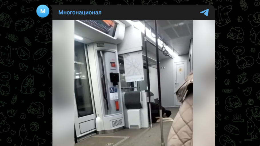 Фото: Telegram-канал "Многонационал"