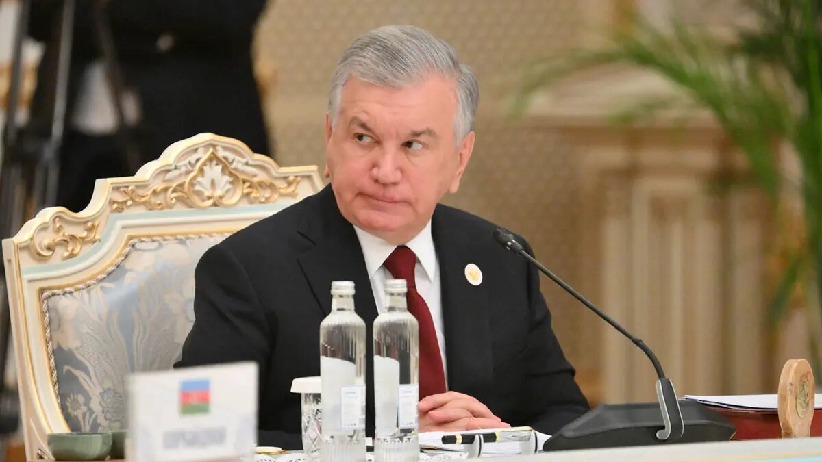    Фото: vm.ru Олеся Шмелева