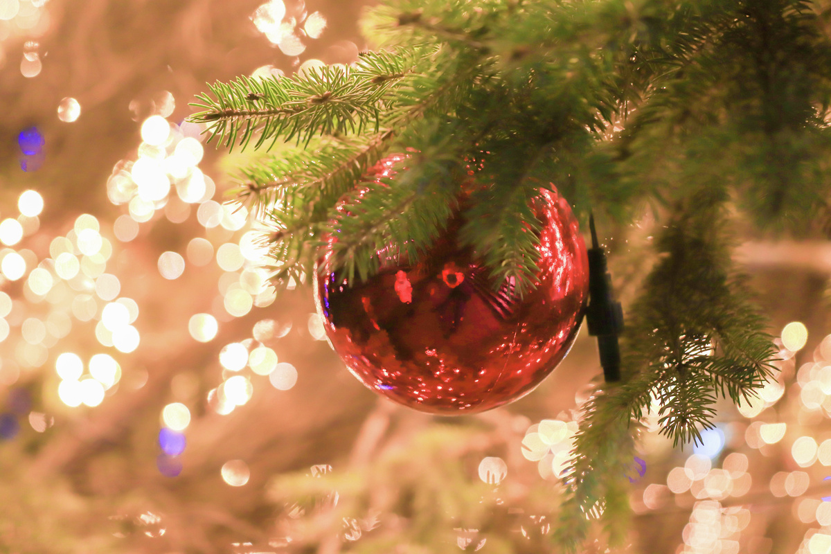 Шар на новогодней елке
© Туристический портал Республики Крым, Алексей Цесельский