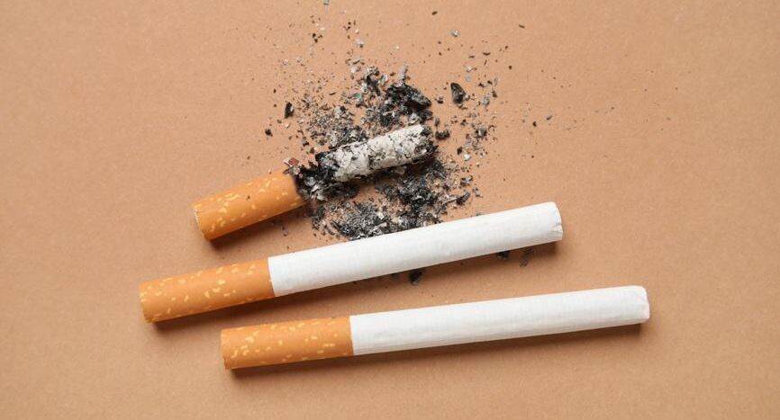    Pixel_shot / Фотобанк Лори