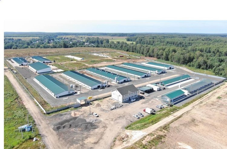    Фото: Минсельхозпрод Московской области