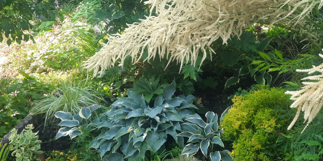 Ни о чем, просто лето в тоскливую погоду