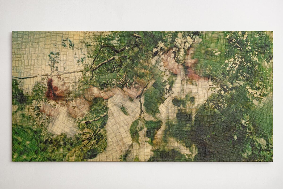 личный архив Евгения Шишкина📷Евгений Шишкин. Virgin Territory #3. 2025