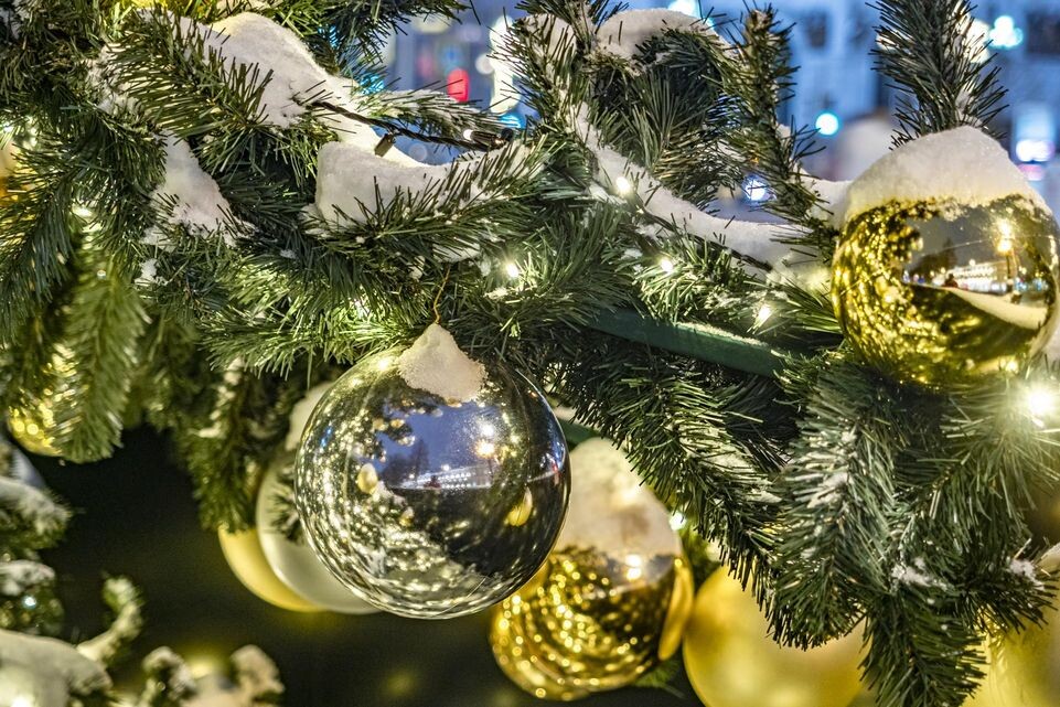    Konstantin Kokoshkin/Global Look Press / www.globallookpress.com