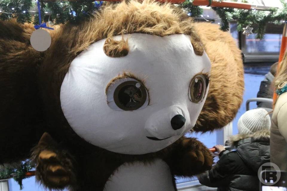    фото: Матвей Горбунов / "Городские вести"