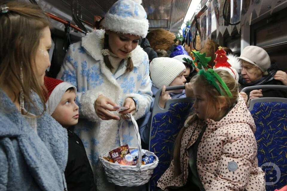    фото: Матвей Горбунов / "Городские вести"