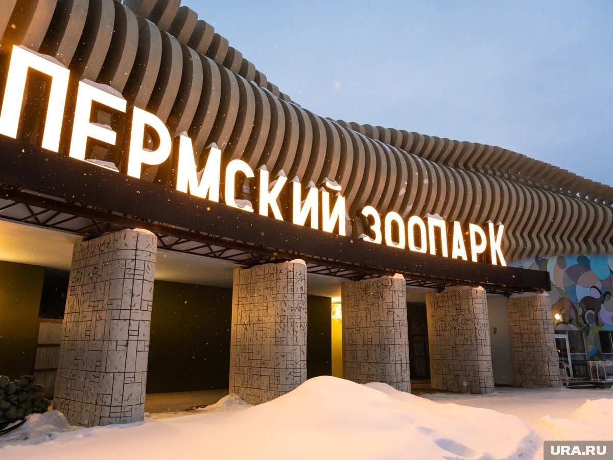     Пермский зоопарк откроется 2 января