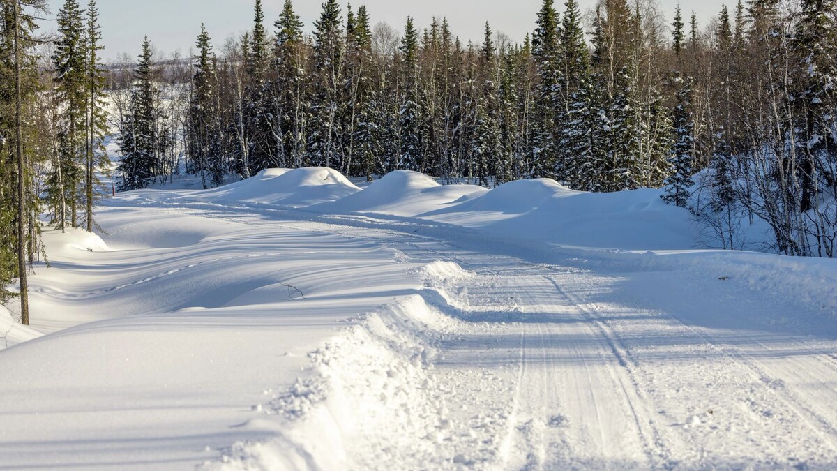    Фото: Федор Воронов/«Ямал-Медиа»