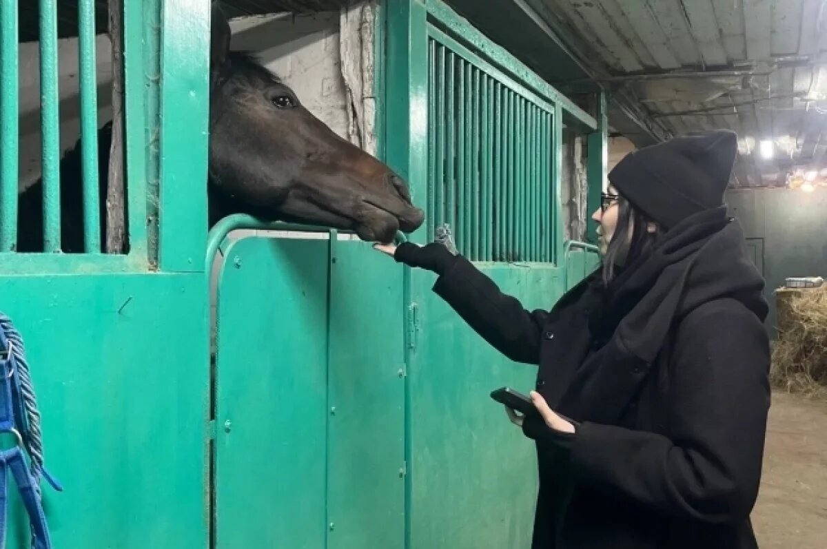    Власти Ростова пояснили сохраняются ли планы строить новый ипподром