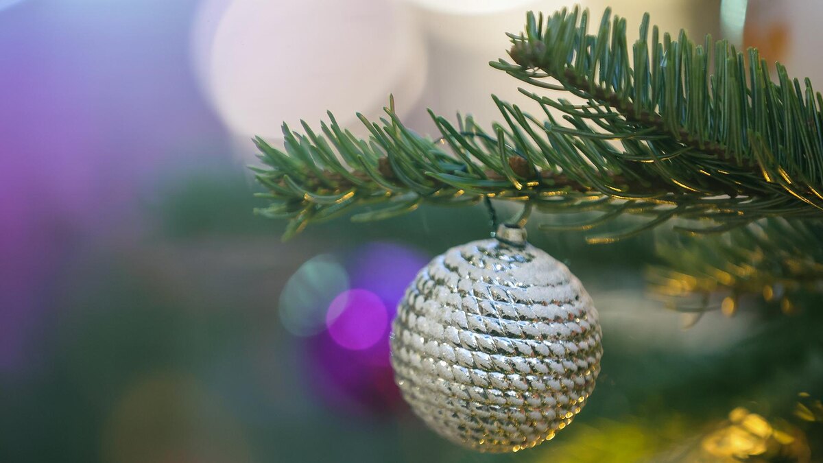    Фото: Shatokhina Natalia/globallookpress.com