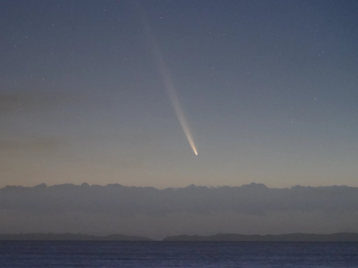     Леб считает, что 3I/ATLAS может иметь искусственное происхождение