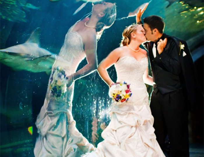 30 снимков, где отражение интереснее самого фото