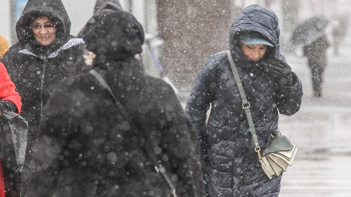    Фото: Ilya Moskovets/globallookpress.com