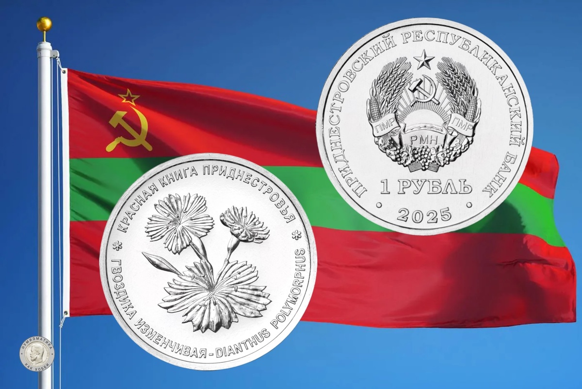 1 рубль 2025 года «Гвоздика изменчивая» серии «Красная книга Приднестровья. Флора»